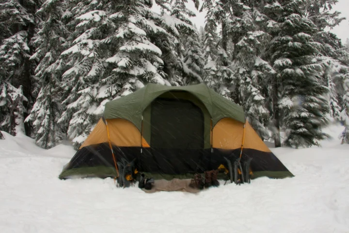 Tent pitched on snow among snow-covered spruce trees