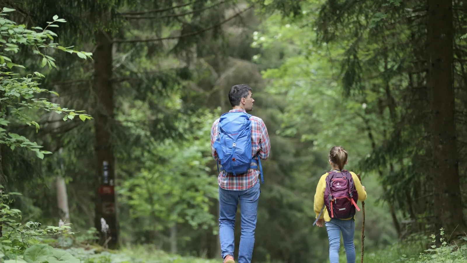 Adult and child with backpacks walking a forest trail