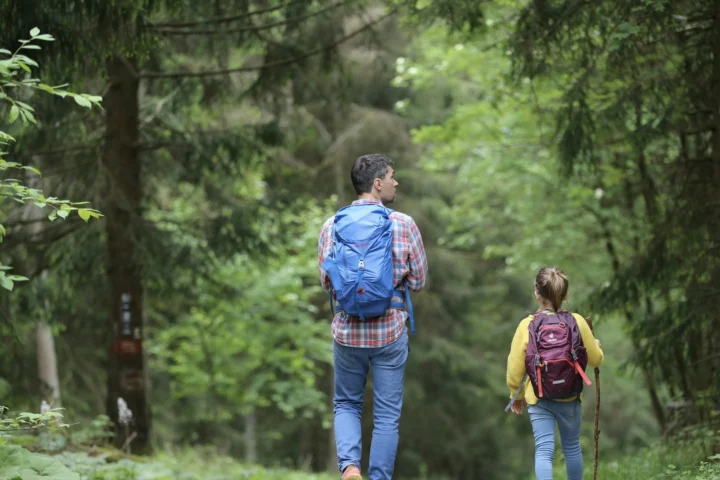 Adult and child with backpacks walking a forest trail